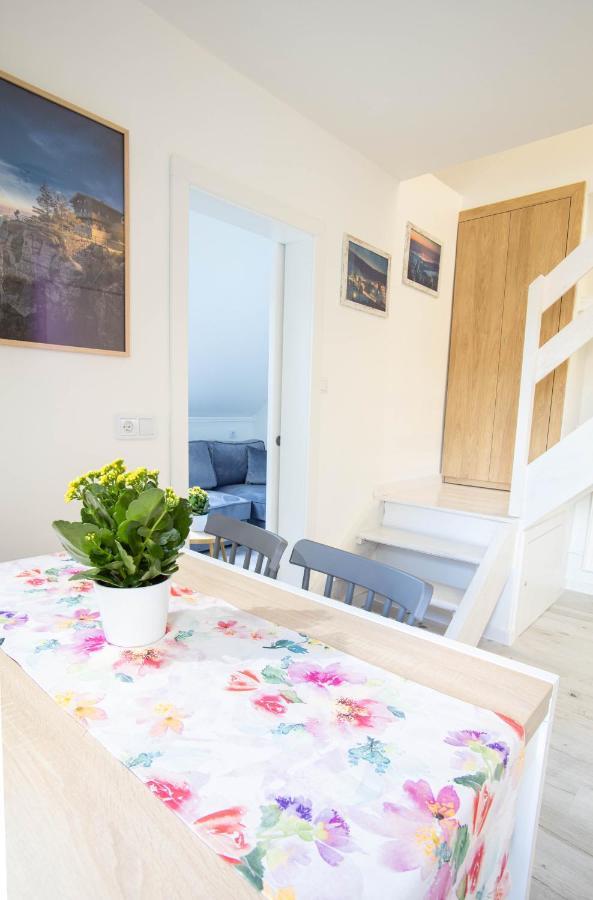 Appartamento Apartament Petunia Duszniki Zdrój Esterno foto